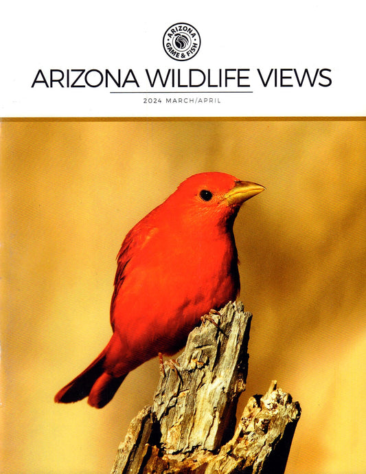 Arizona Wildlife Views | Total Magazines