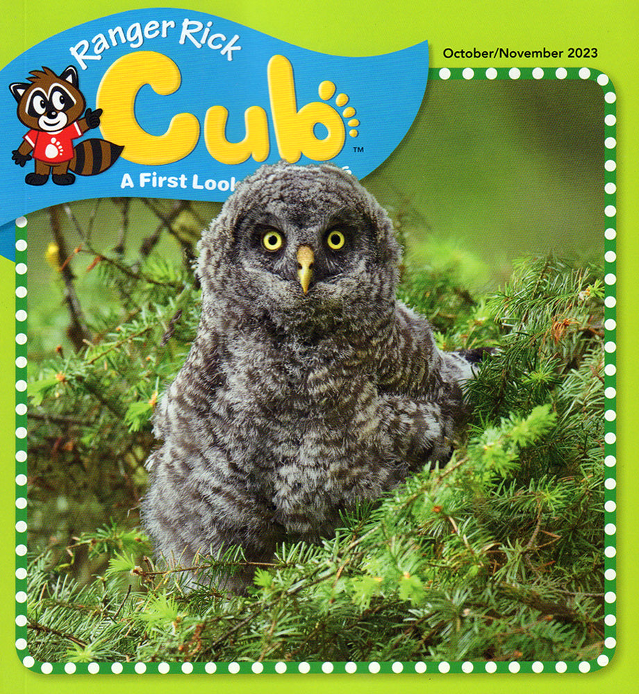 Ranger Rick Cub