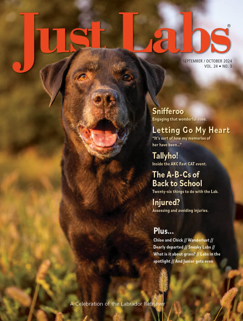 Just Labs