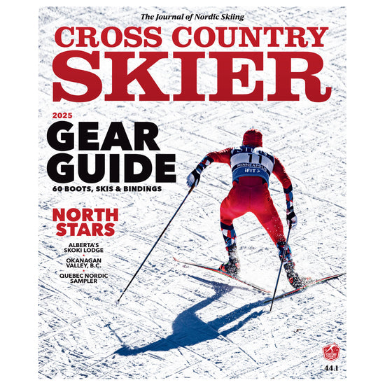 Cross Country Skier