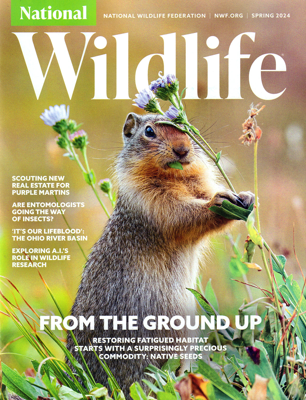 National Wildlife Magazine
