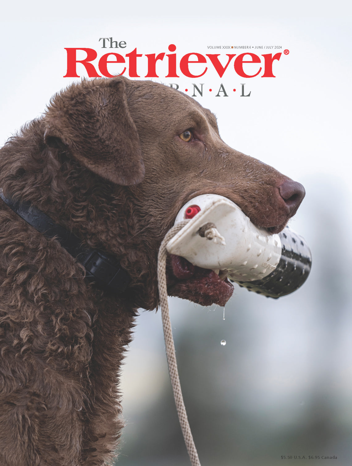 The Retriever Journal