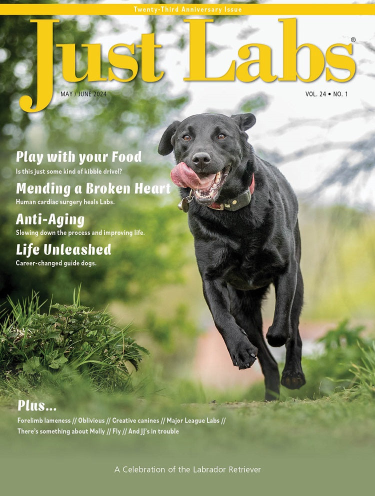 Just Labs