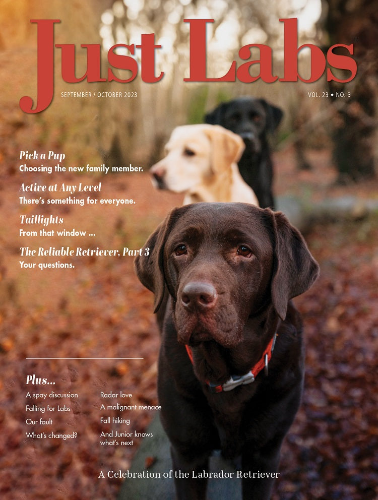 Just Labs