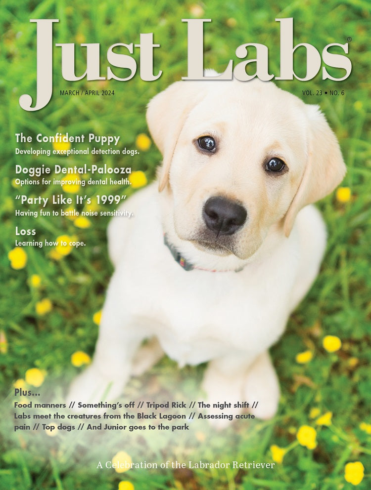 Just Labs