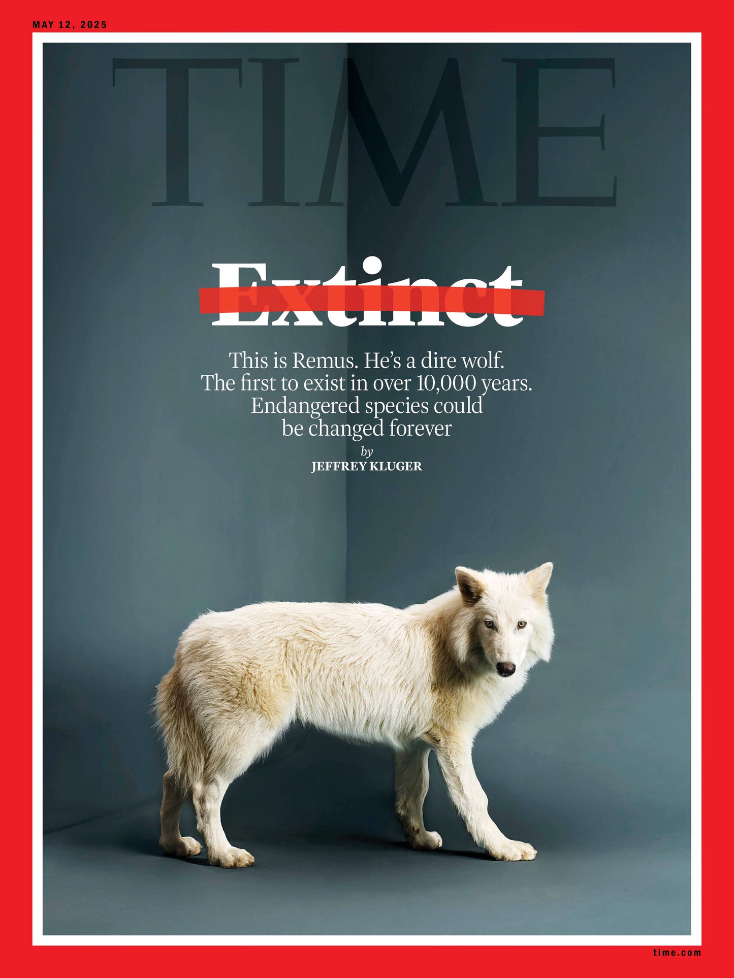 Time Magazine