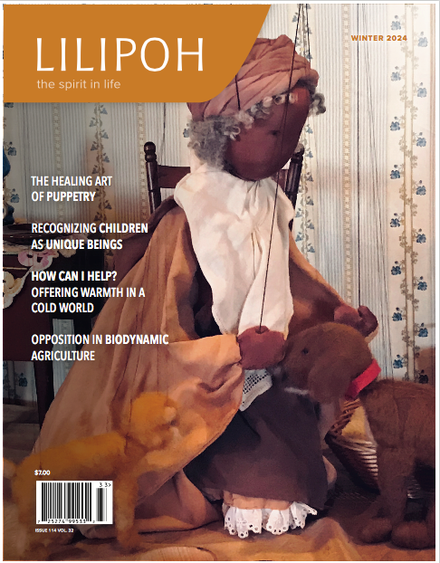 LILIPOH Magazine