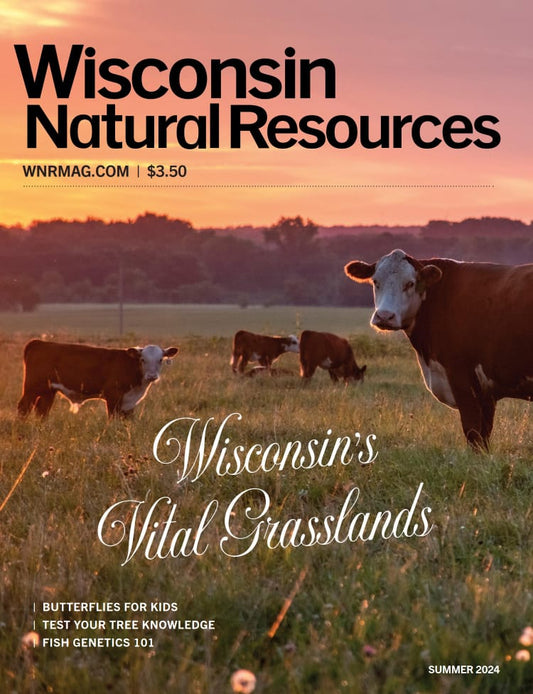 Wisconsin Natural Resources | Total Magazines