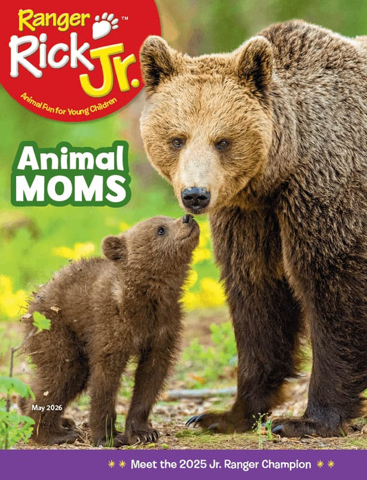 Ranger Rick Jr | Total Magazines