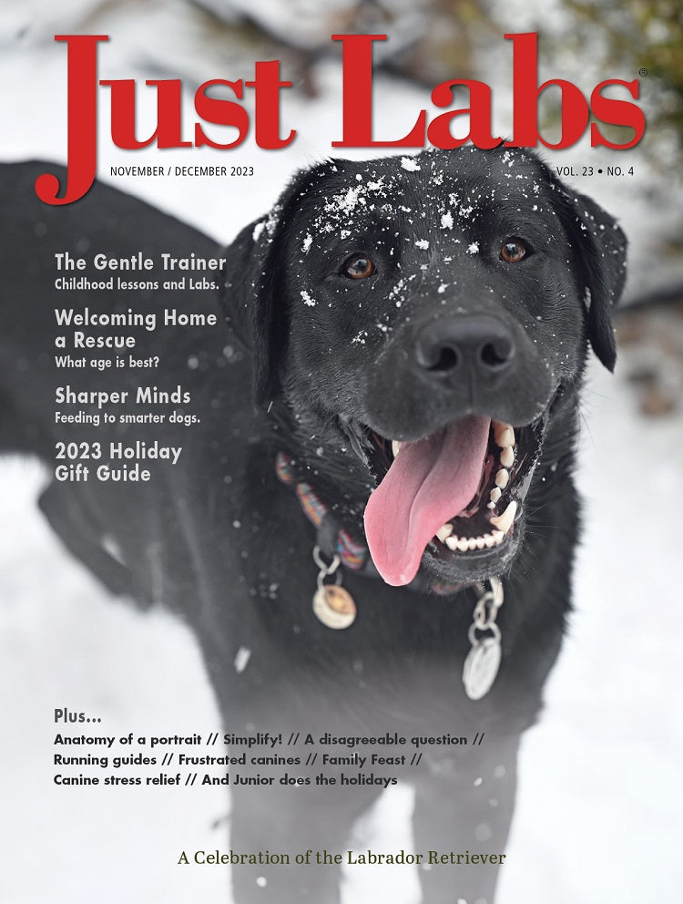 Just Labs