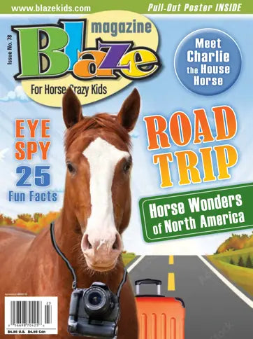 Blaze Magazine | Total Magazines