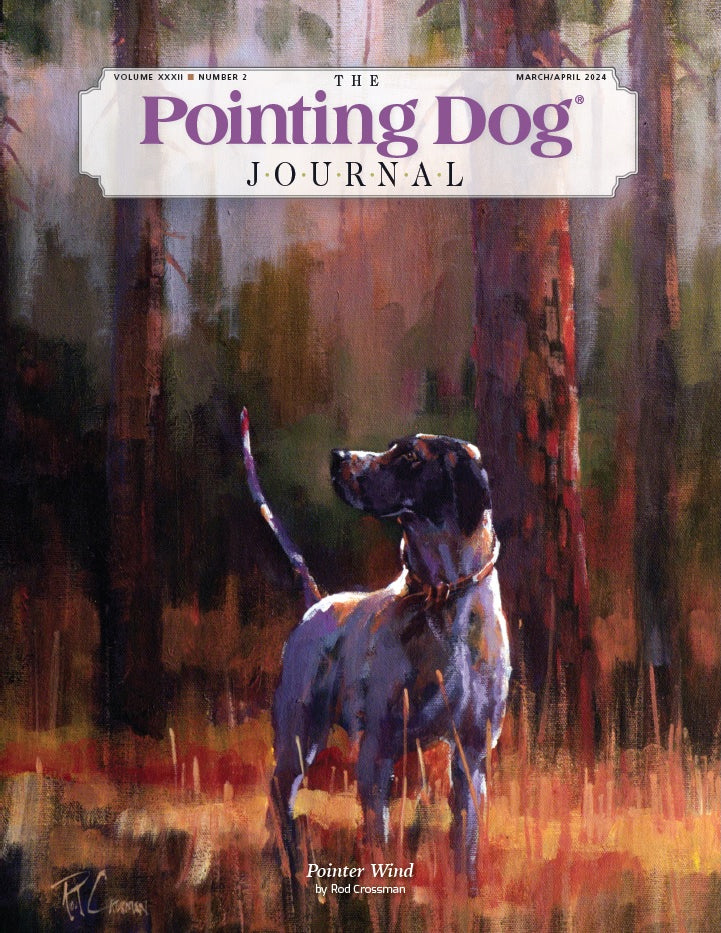 The Pointing Dog Journal