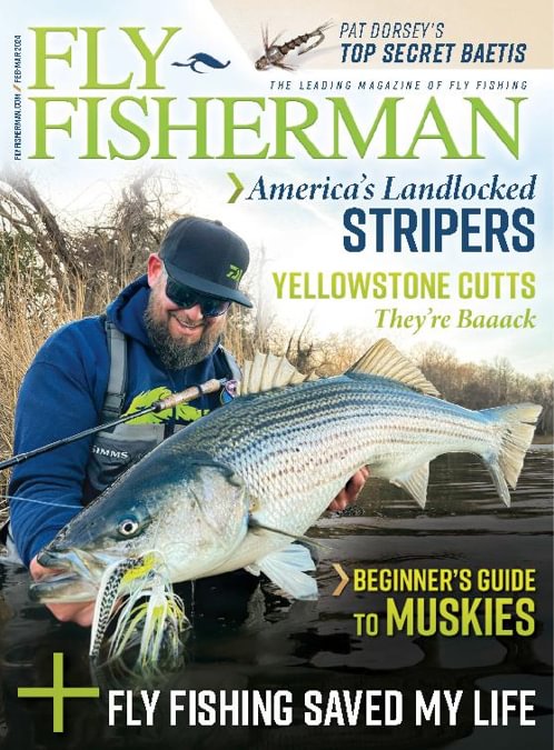 Fly Fisherman