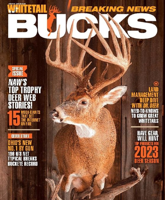 North American Whitetail