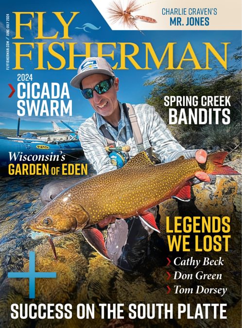 Fly Fisherman