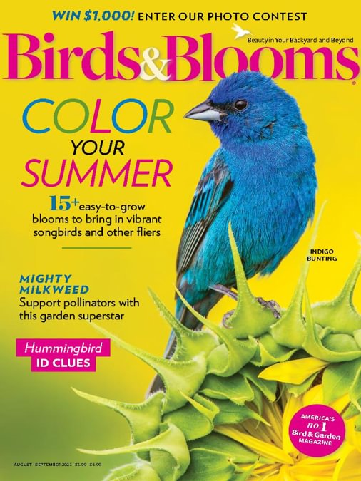 Birds & Blooms