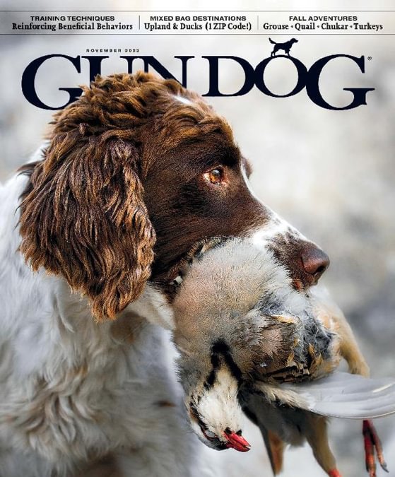 Gun Dog