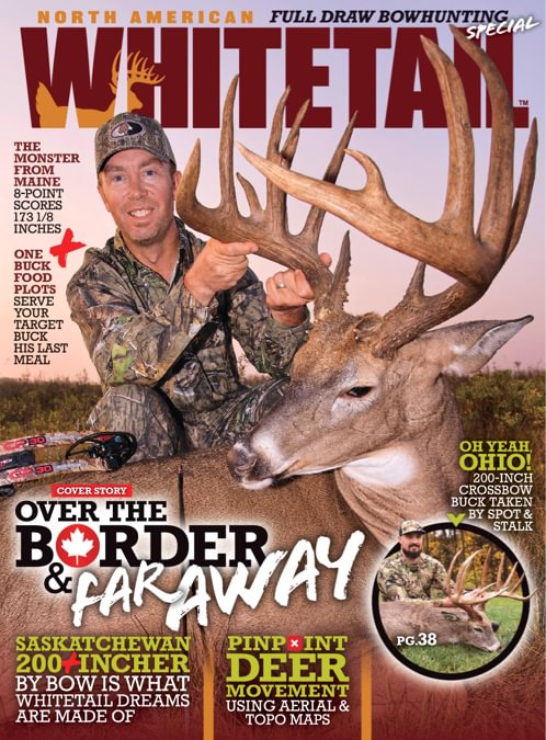 North American Whitetail
