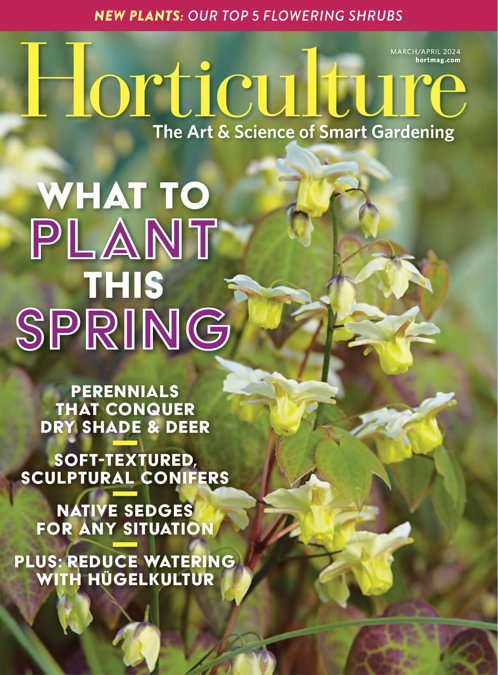 Horticulture Magazine