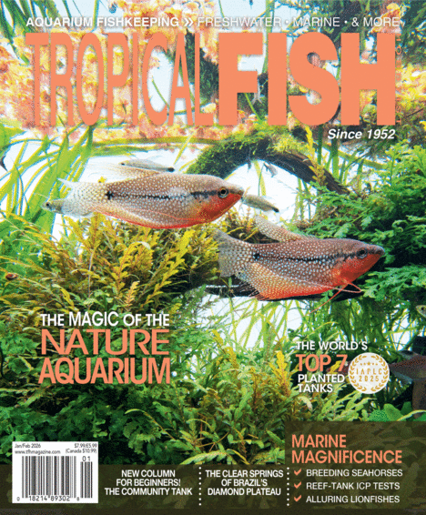 Tropical Fish Hobbyist | Total Magazines