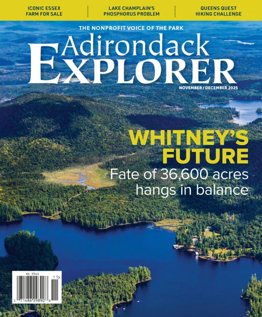 Adirondack Explorer | Total Magazines