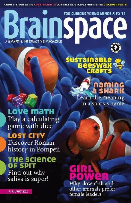 Brainspace