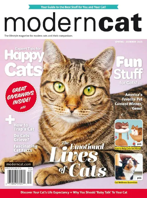 Modern Cat | Total Magazines