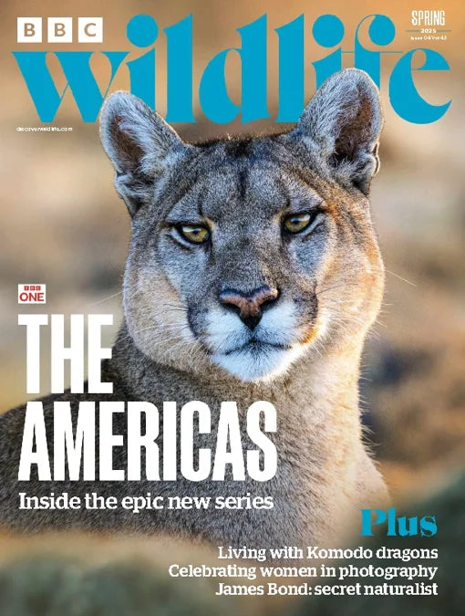 BBC Wildlife Magazine