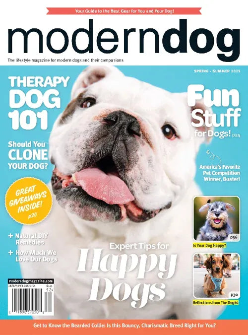 Modern Dog | Total Magazines