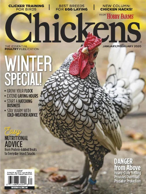 Chickens Magazine