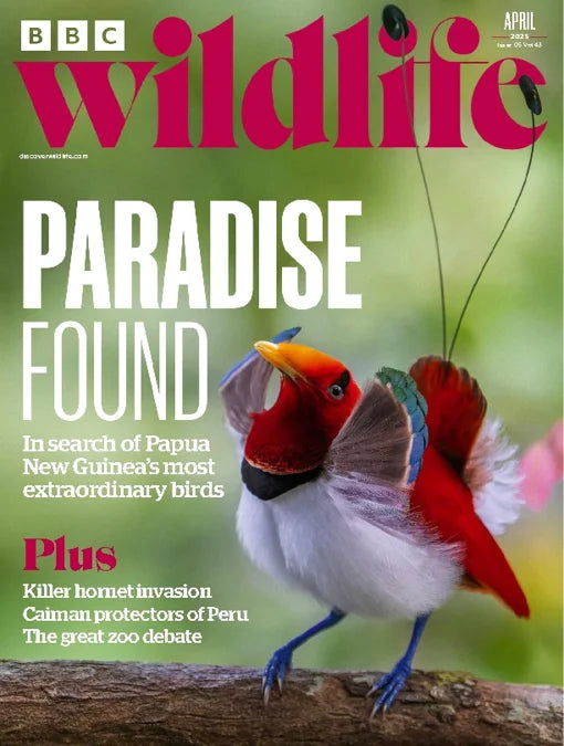 BBC Wildlife Magazine