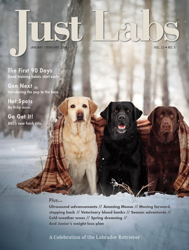 Just Labs