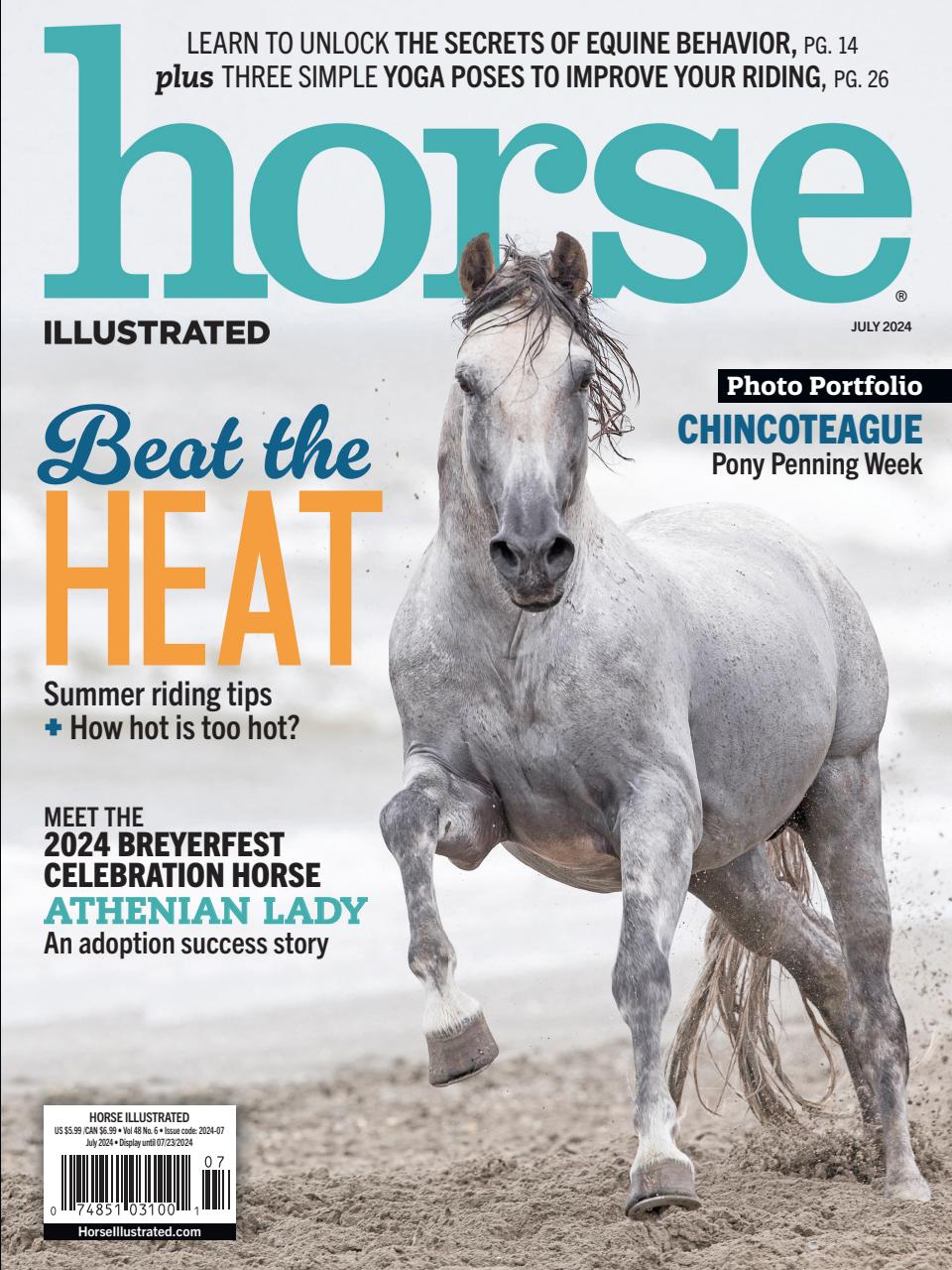 Horse Illustrated