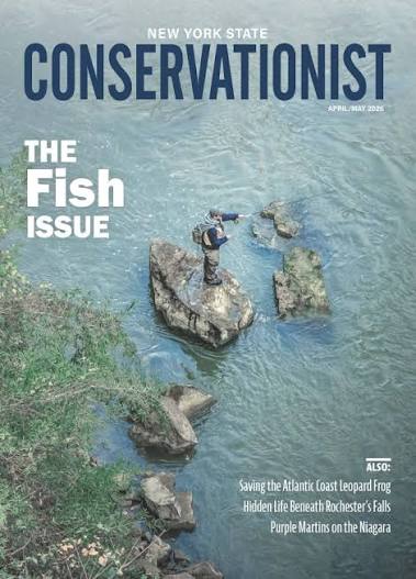 Conservationist | Total Magazines