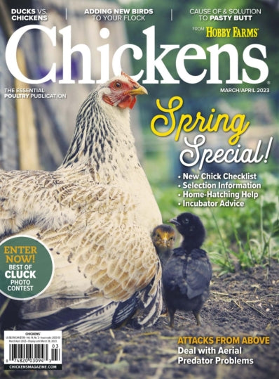 Chickens Magazine