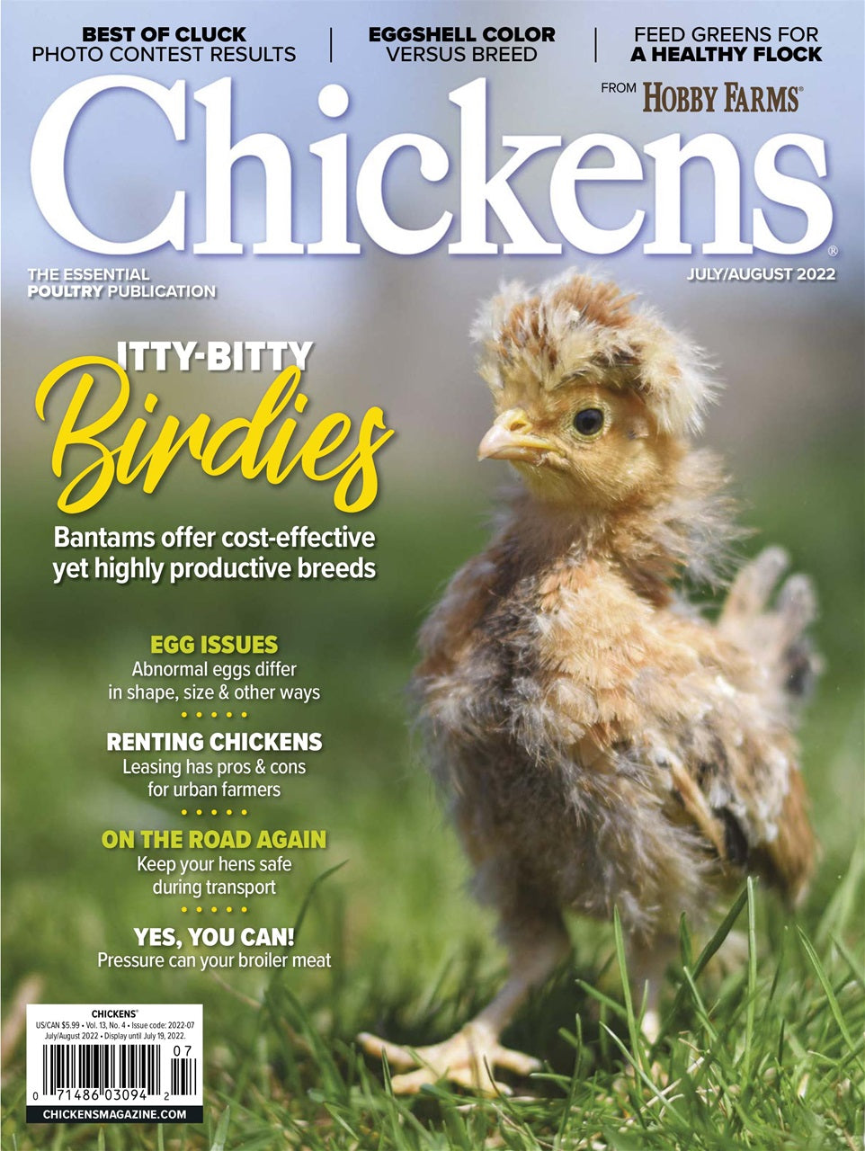 Chickens Magazine