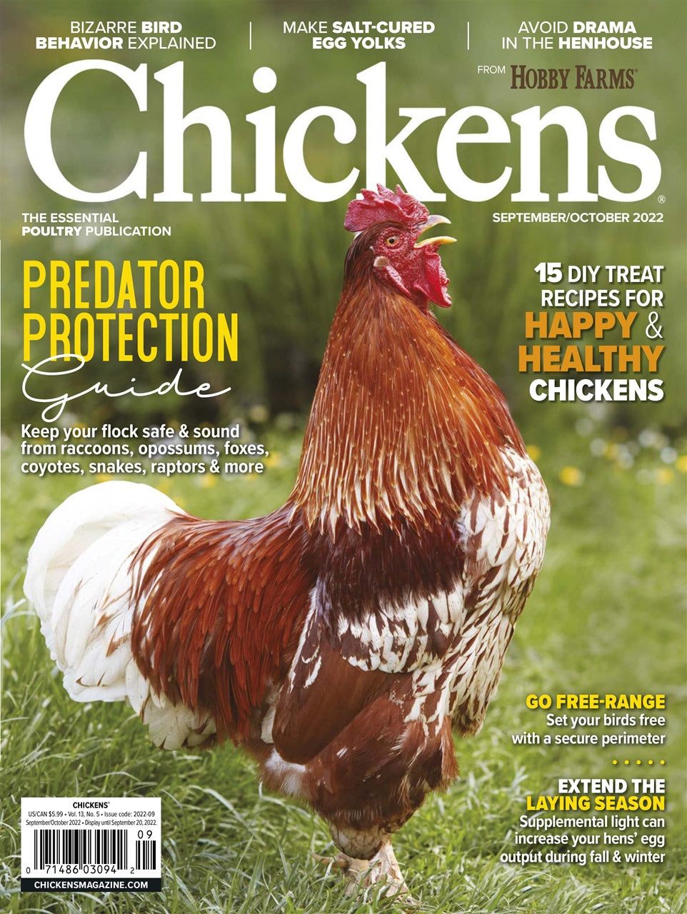 Chickens Magazine