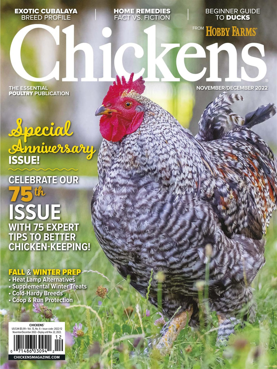Chickens Magazine