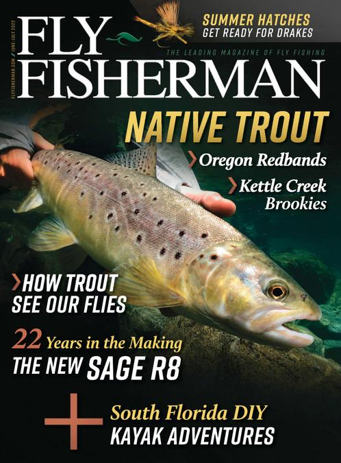 Fly Fisherman
