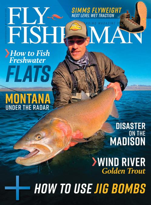 Fly Fisherman
