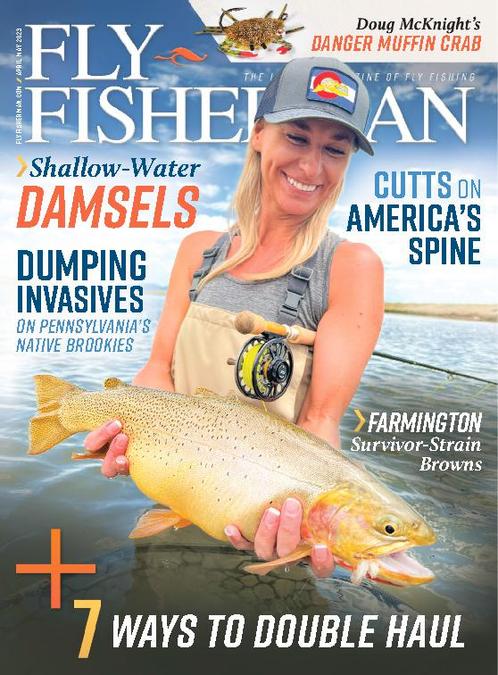 Fly Fisherman