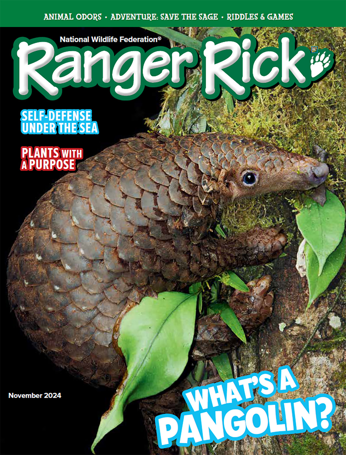 Ranger Rick Magazine Subscription – Total Magazines