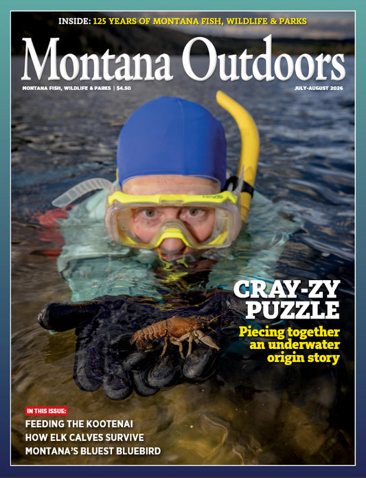 Montana Outdoors