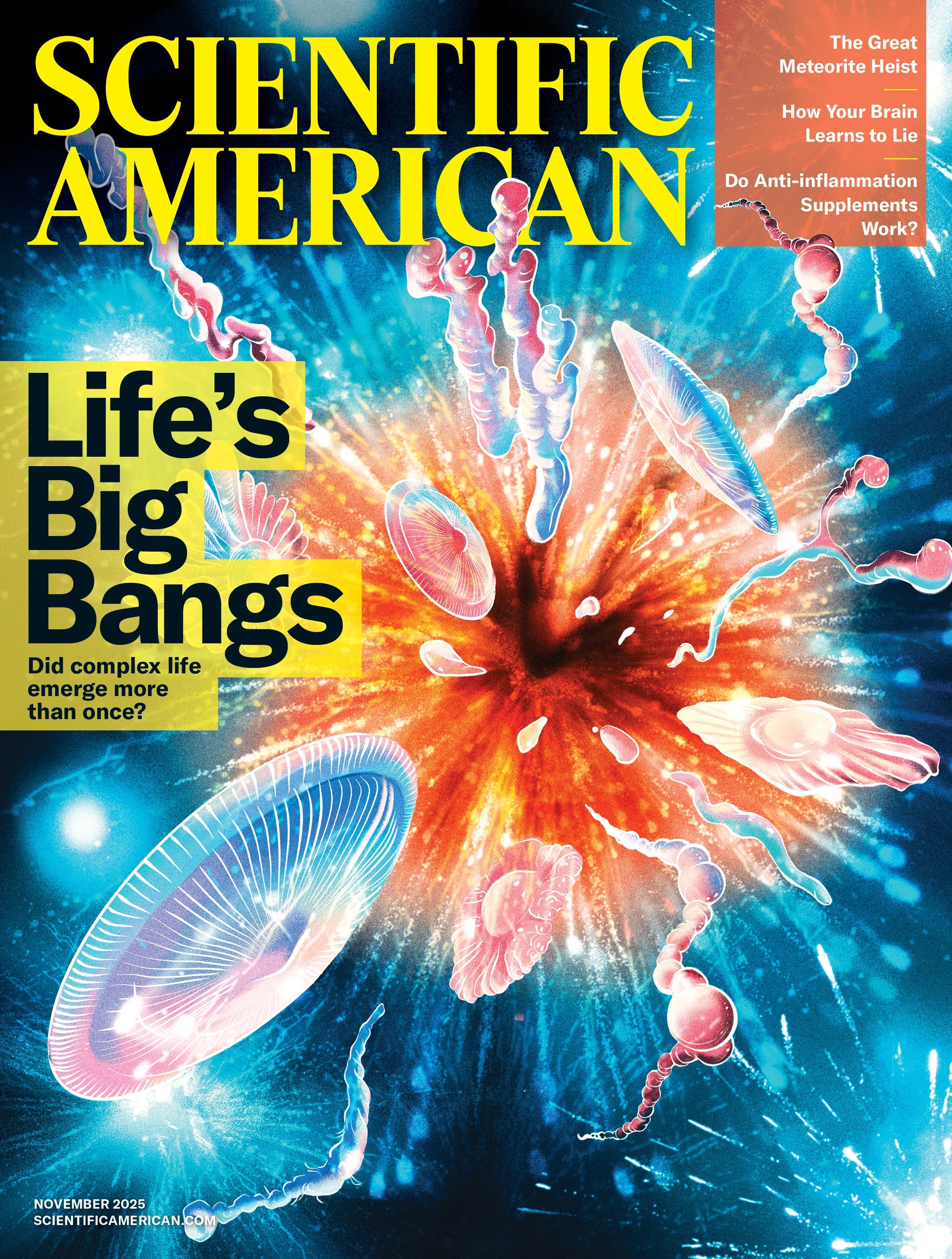 Scientific American Magazine Subscription – Total Magazines