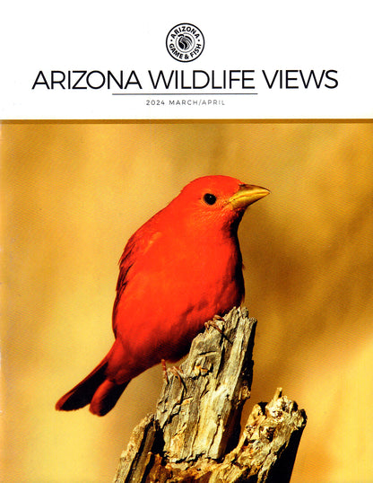 Arizona Wildlife Views