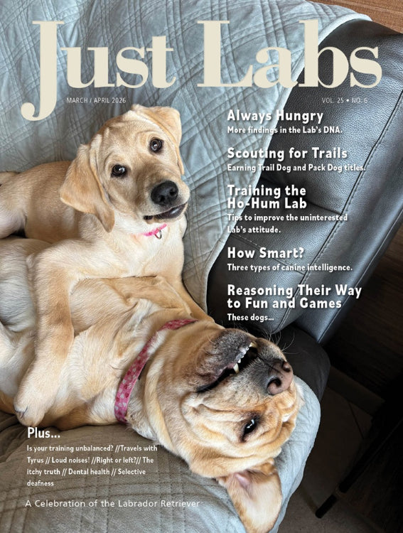 Just Labs