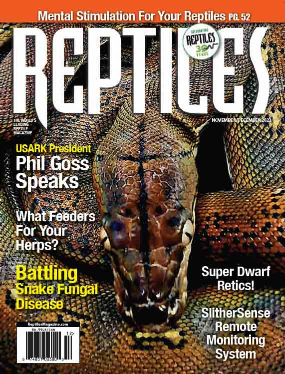 Reptiles Magazine