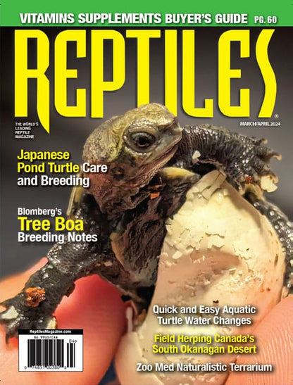 Reptiles Magazine