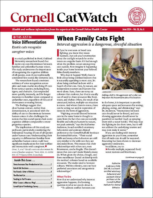 CatWatch Newsletter