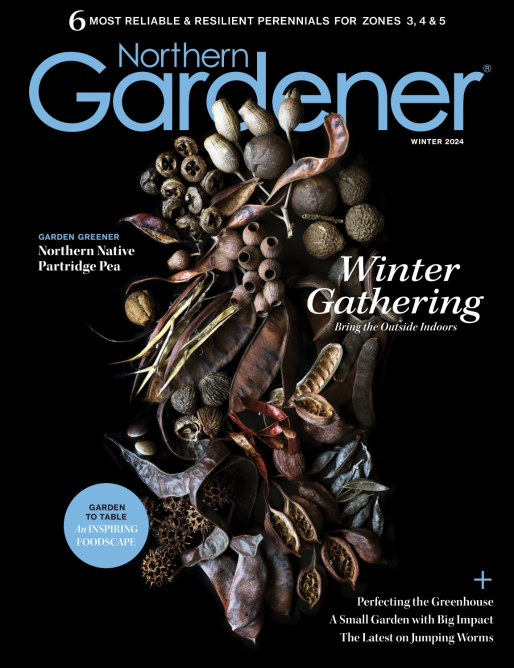 Northern Gardener